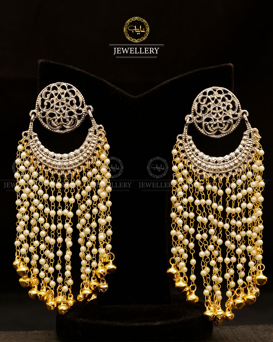 Rajhistani Long Tassel Earrings-2800